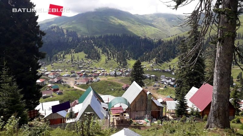 Цены на отдых в горах Грузии