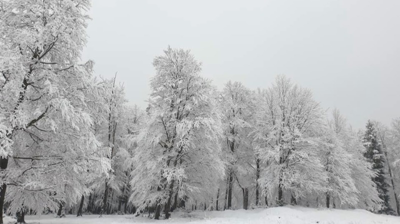 მაისის თოვლი ბაკურიანში [ფოტო]