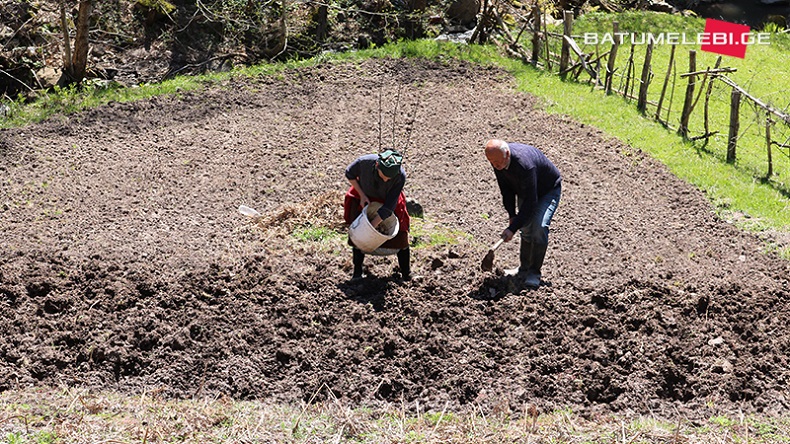 მიწის დასამუშავებლად ფერმერები 300 ლარს მიიღებენ – ღარიბაშვილი