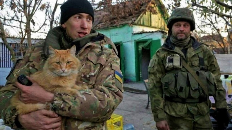 უკრაინელი ჯარისკაცები და კატები ბრძოლის ველზე | ფოტო
