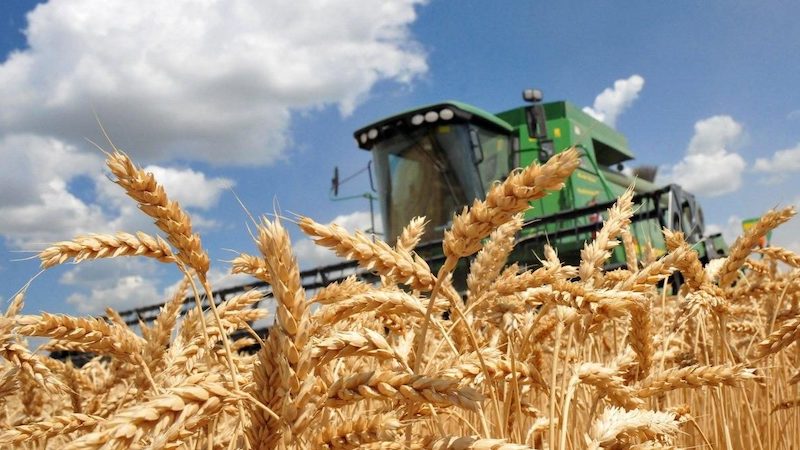 ООН предлагает ослабить санкции против России в обмен на деблокаду зерна из Украины — WSJ