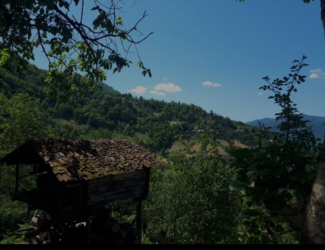 სოფელ ჯალაბაშვილები