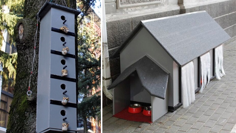 სახლები მიუსაფარი ძაღლებისა და ჩიტებისთვის ფარნავაზ მეფის ქუჩაზე | ფოტოამბავი