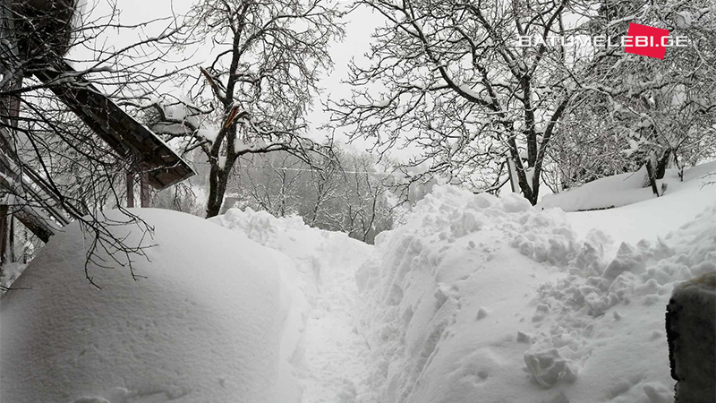 Под снежной лавиной в селах высокогорной Аджарии погибли два человека