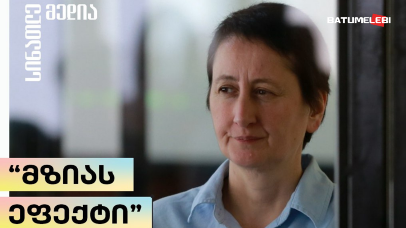 „მზიას ეფექტი – როგორ შეგვცვალა მზია ამაღლობელის საქმემ“ – შეხვედრა თბილისის წიგნის ბაზრობაზე
