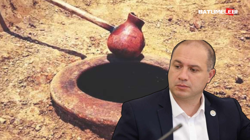 „ქიმიის წიგნს ყდაზე დავახატავთ ღვინის დაწურვის პროცესს“ – მიქანაძე სკოლის სახელმძღვანელოებზე