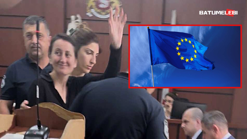 ევროკავშირი გმობს მზია ამაღლობელის მიმართ გამოტანილ პოლიტიზებულ განაჩენს