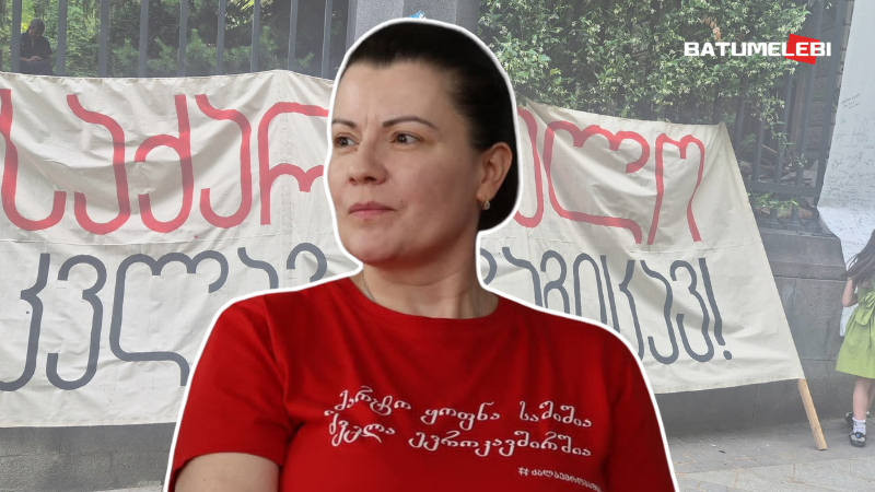 „დავით აღმაშენებელსაც ფობია ჰქონია… კობახიძეს უნდა, რომ მტერს კომფორტი შევუქმნათ“ – პედაგოგი