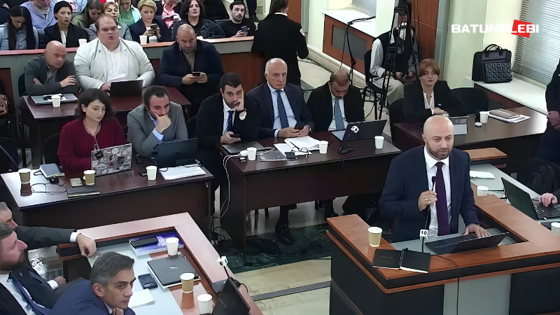 რატომ ითხოვს გახარიას პარტია ივანიშვილის, კობახიძის და სხვა ლიდერების დაკითხვას – ოპოზიციის აკრძალვის საქმე